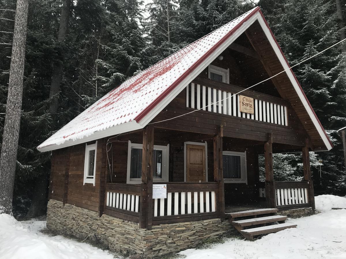 Chalet Sofia بوروفتس المظهر الخارجي الصورة