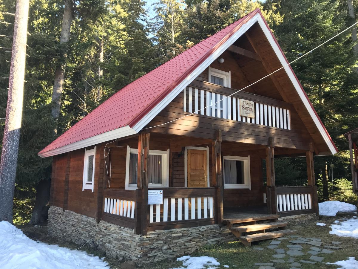Chalet Sofia بوروفتس المظهر الخارجي الصورة